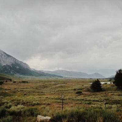 Bonavita Connoisseur